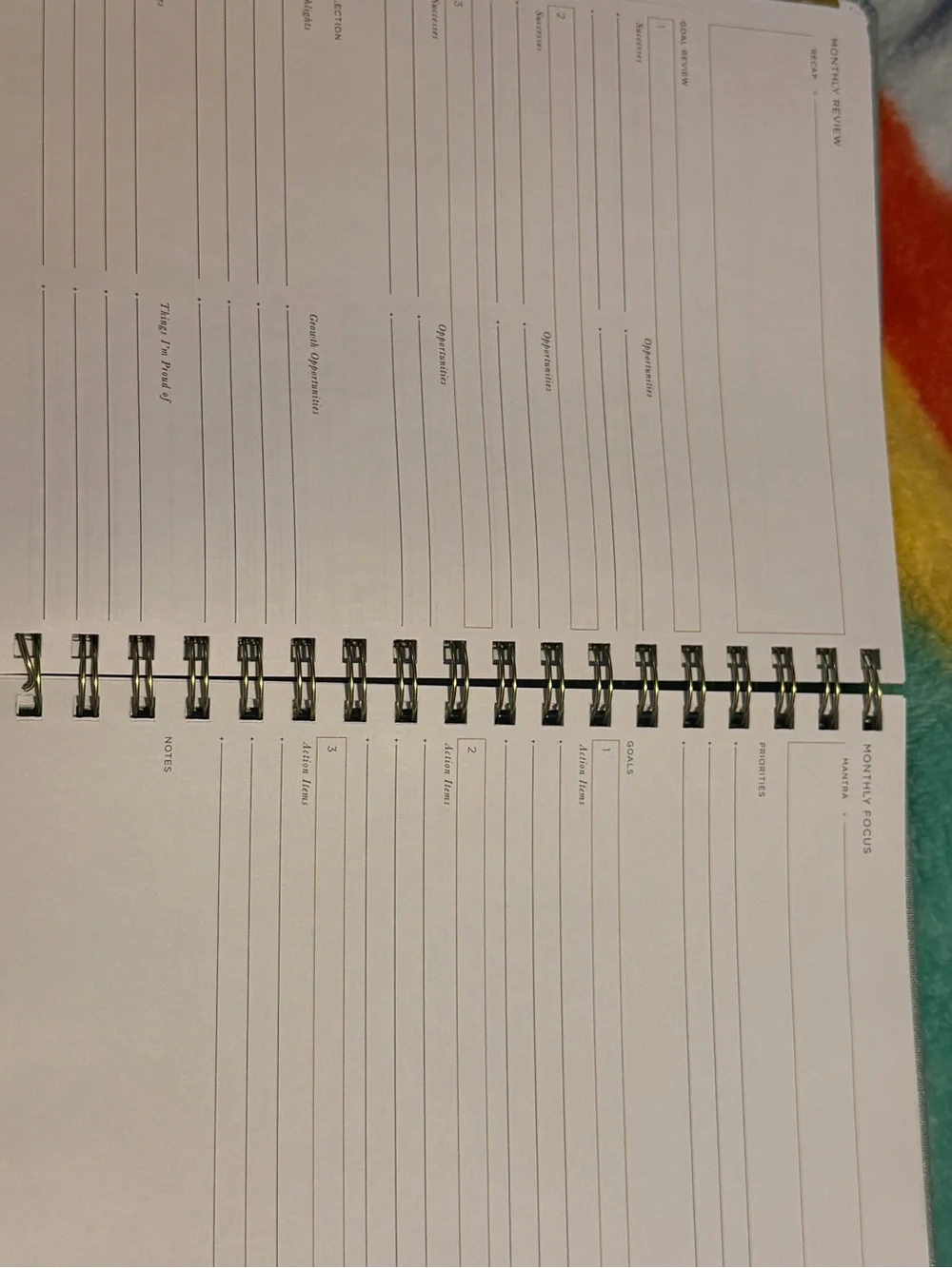 Weekly Planner Notebook in Light Blue with Gold Foil